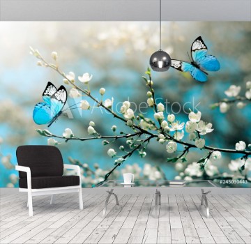 Picture of Cherry blossom in wild and butterfly Springtime